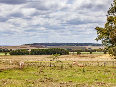 66 Moore Street, Kingaroy