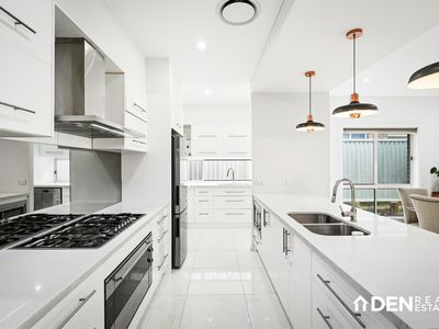 41 Cloud Street, Schofields