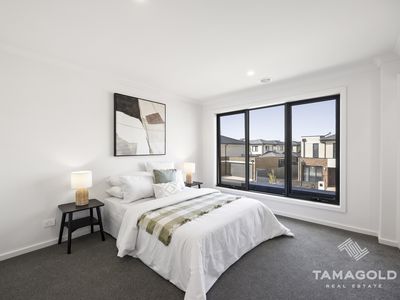 13 Loosestrife Street, Narre Warren