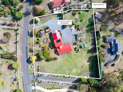 1 Pine Tree Avenue, Grindelwald