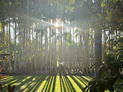 171 Billinudgel Road, Billinudgel