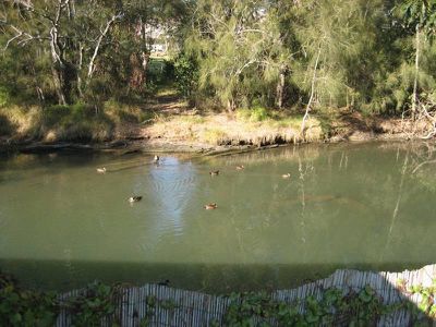 88 Koona St, Albion Park Rail