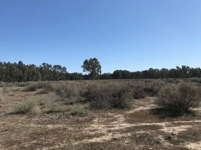 Lot 15 Edward River Road, Moulamein