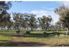 324 Dripstone Road, Neurea