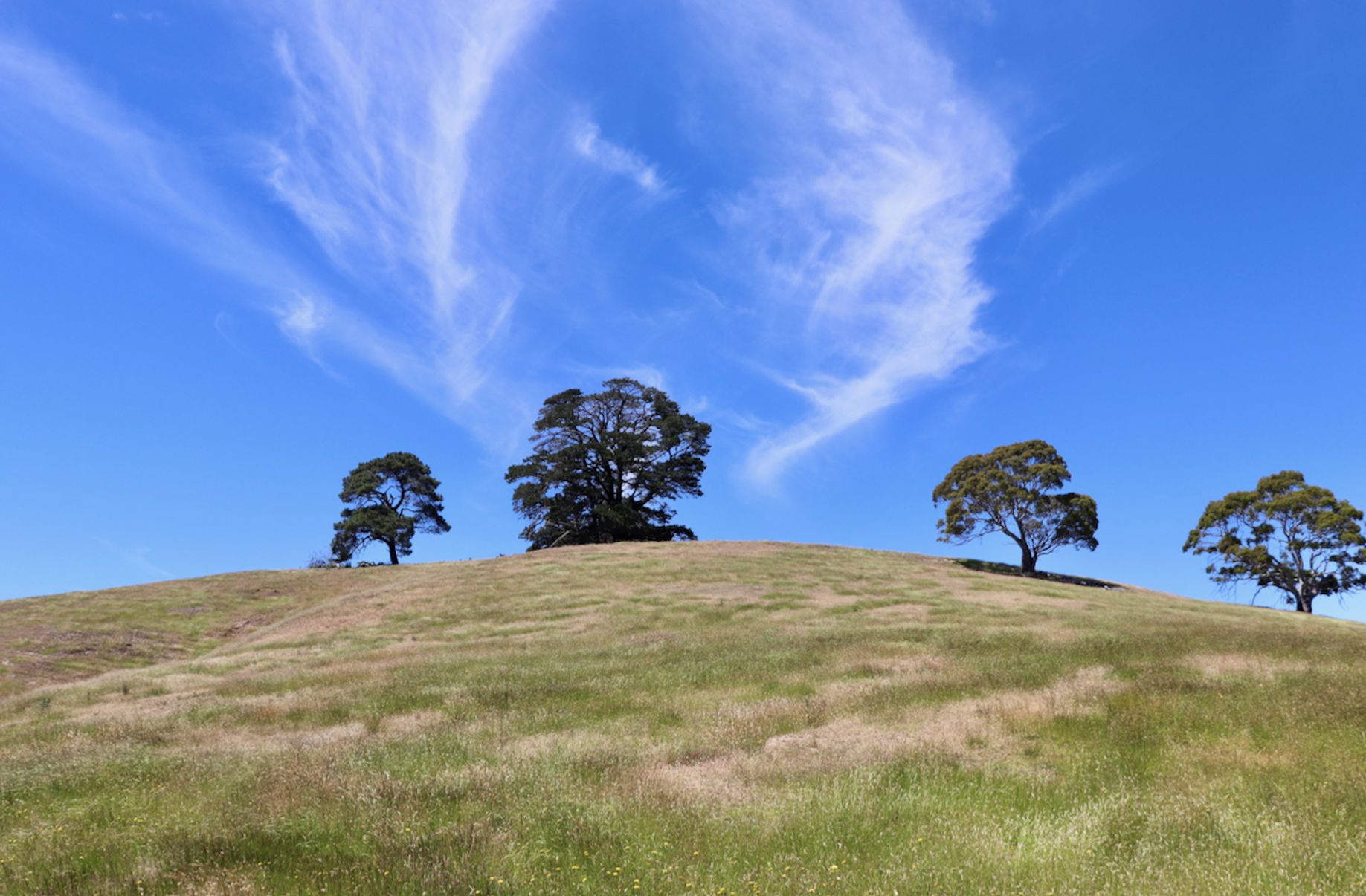 Lot 13, 13A, 13B, 31A &, 31C BRIDGE ROAD, Grenville