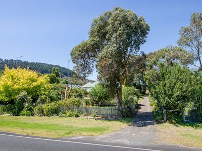 295 Carpenter Rocks Road, Moorak