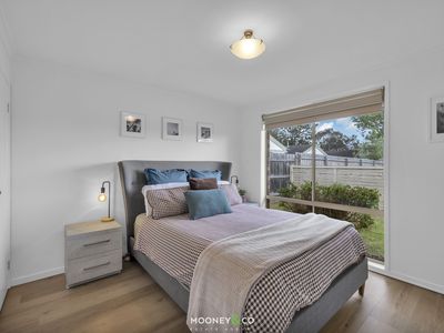 2 / 41 Frank Street, Frankston