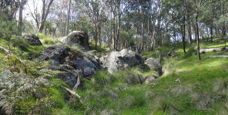 Harrys Creek Road, Strathbogie