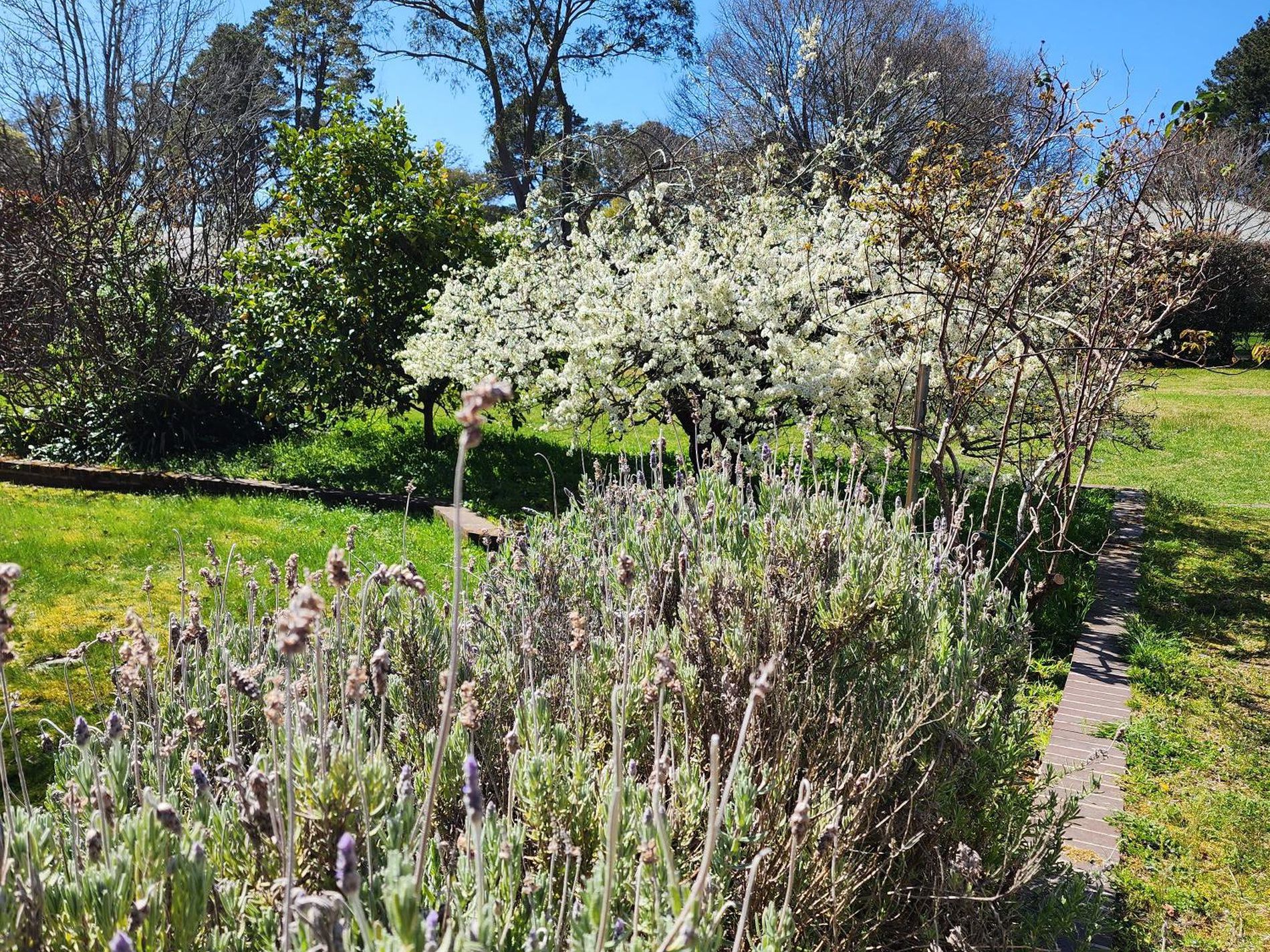 21 Sullivan Rd, Burradoo