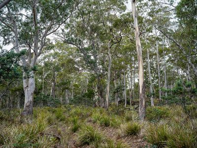 'Hardings Bay Retreat', Lake Leake Road, Lake Leake
