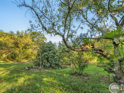 45 Geles Road, Upper Burringbar