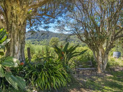 2394 NIMBIN ROAD, Nimbin