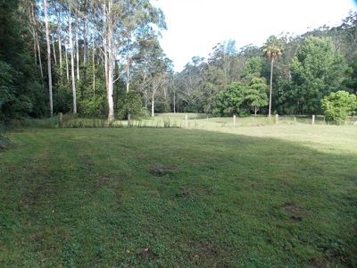 Palm Grove