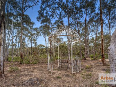 89 Canopus Circuit, Long Forest