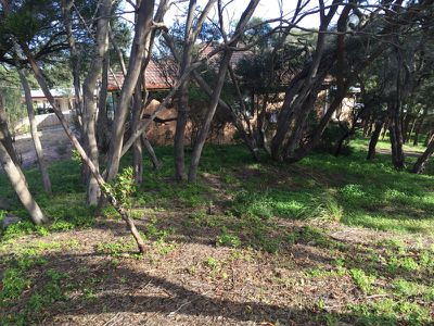 158 Dundas Street, Rye