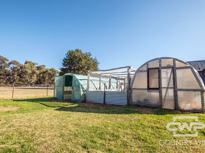 5368 Strathbogie Road, Emmaville