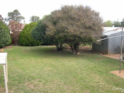 17 Brigalow Avenue, Dubbo