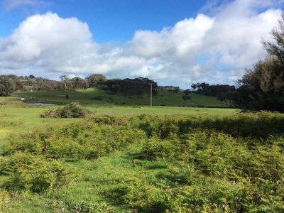 280 Landscape Road, Tallarook