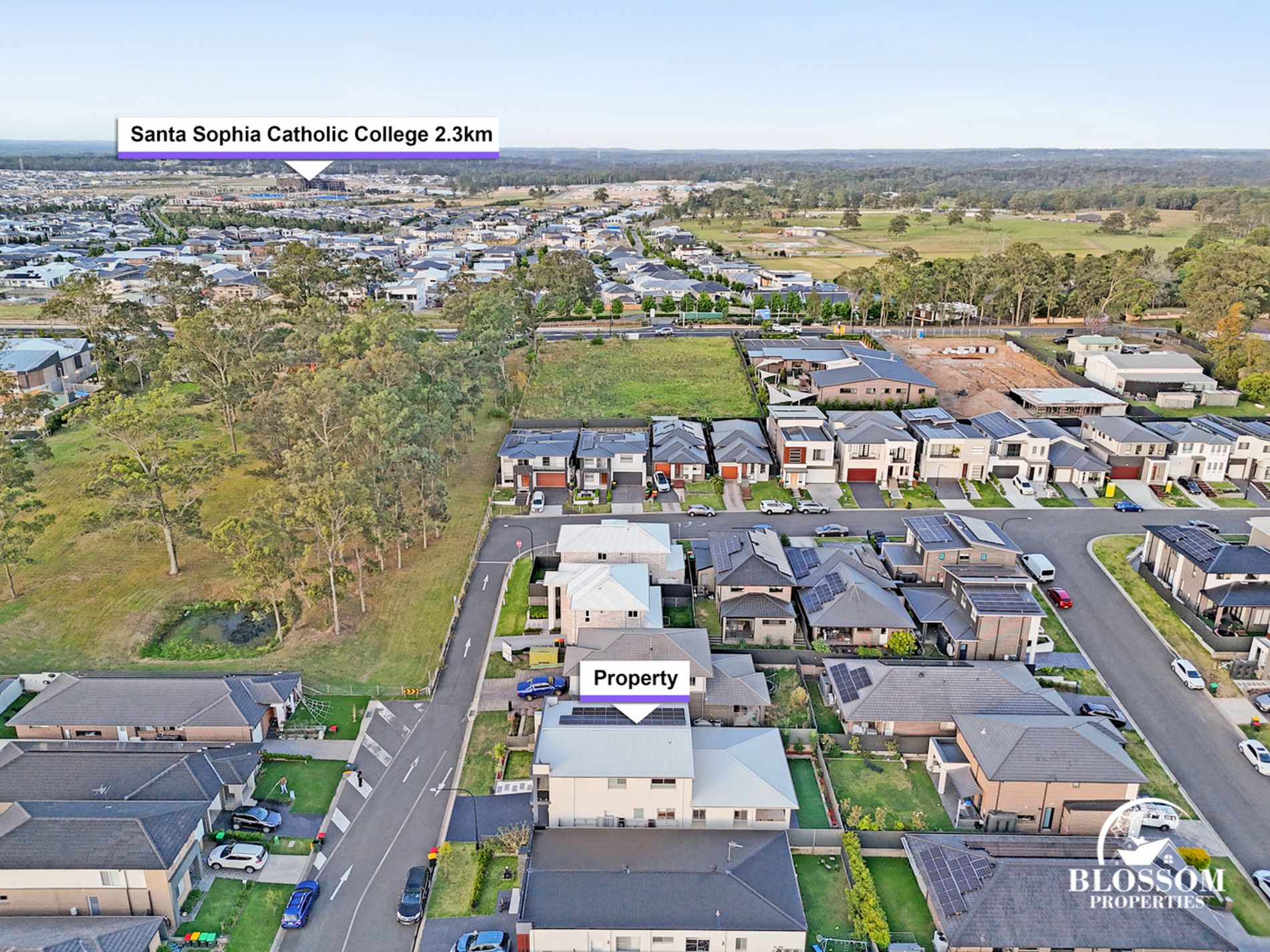 23 Cinch Street, Box Hill