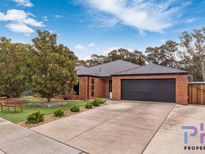 16 Lupson Court, Maiden Gully