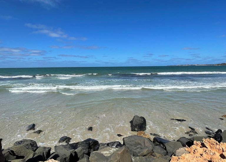 183 Dutton Way, Bolwarra