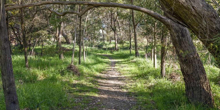 10 Main Street, Strathbogie