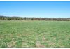 2472 Banjo Paterson Way, Cumnock
