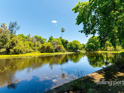 42 / 537 William Street, Mount Lawley