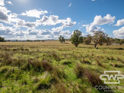 Lot 241, 243, 2202 Wellington Vale Road, Emmaville