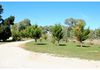 86 Frewin Road, Orange