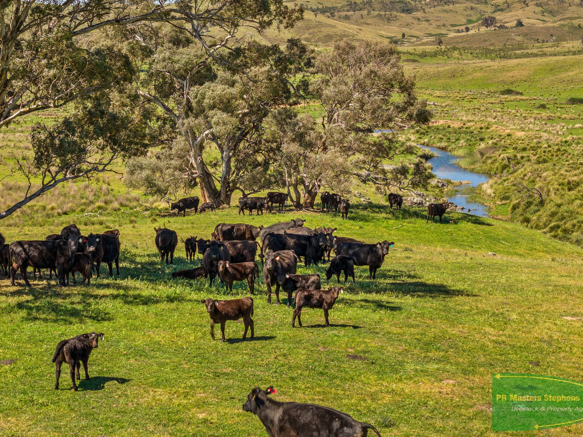 351 Shepherds Creek Road, Euchareena