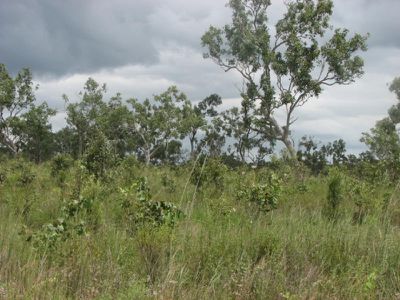 Mareeba