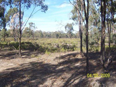 Willows Road, Murchison