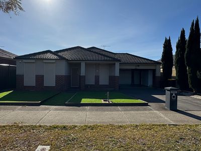 8 Camphora Street, Tarneit
