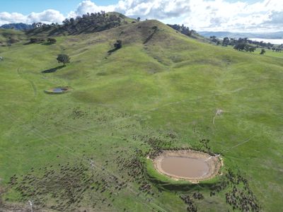 Lot 1, LP135805 Kiewa East Road, Tangambalanga