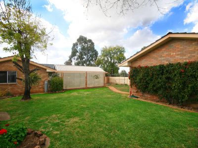 43 Palmer crescent, Gunnedah