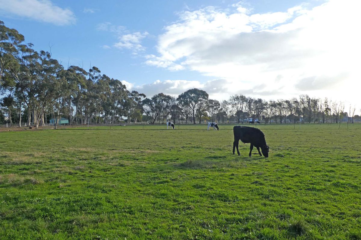 5 Weller Road, Lancaster