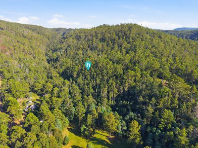 111 Underwoods Road, Nicholls Rivulet