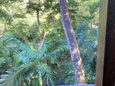 20 Rainforest Street, Cooktown