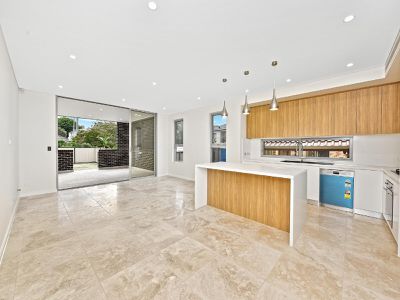 117a Millett  Street, Hurstville