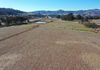 76 Sylvias Gap Road, Tumblong