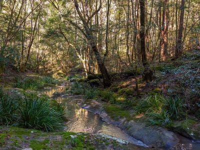 144 Stringybark Lane, Toonumbar