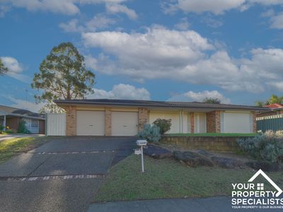 49 Ohlfsen Road, Minto