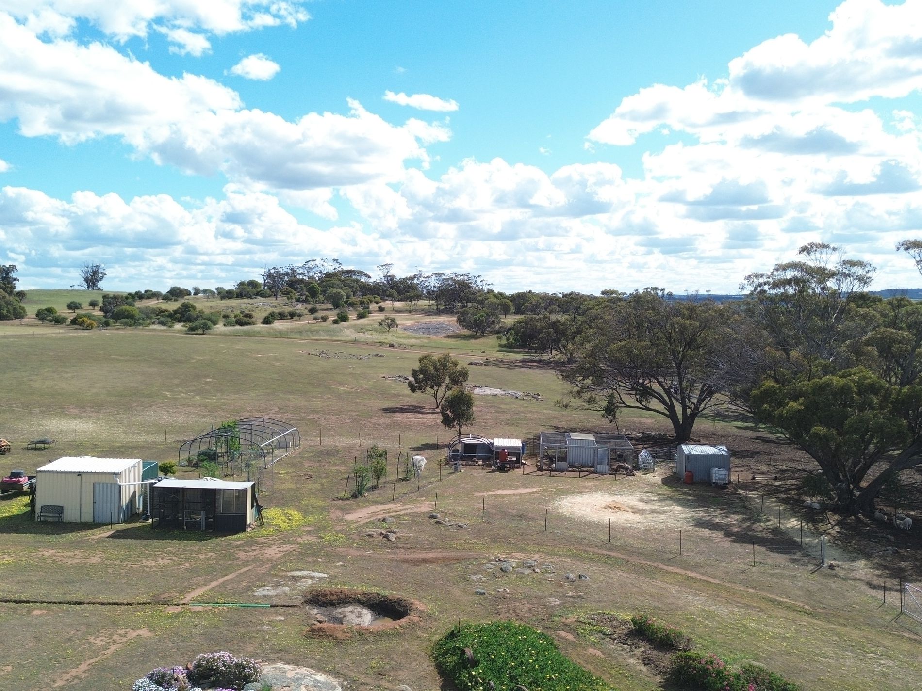 803 Snows Road, Gillimanning