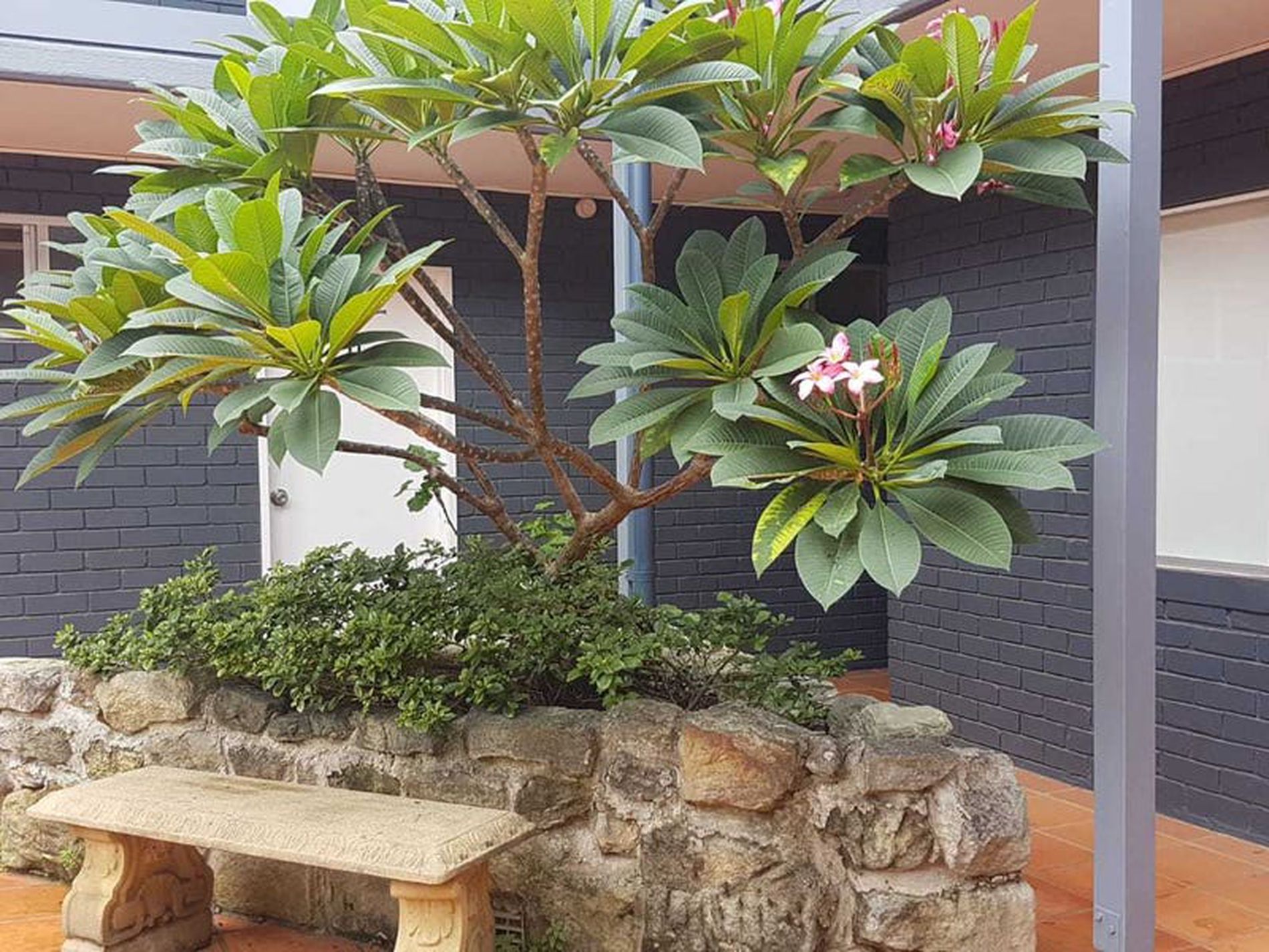 7 / 3 Rayner Street, Lilyfield