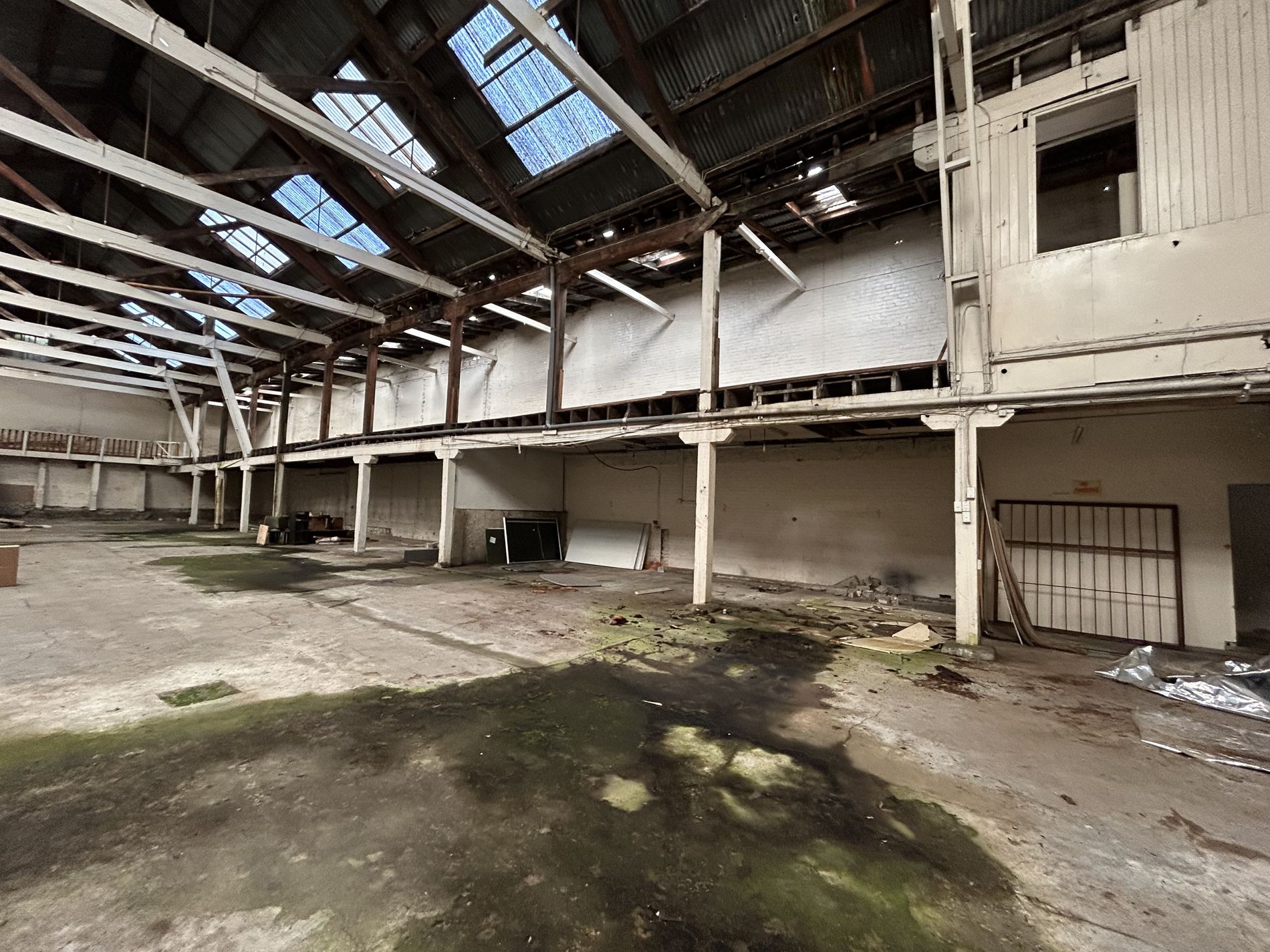 61 Maclaggan Street, Dunedin Central