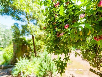 6 Cheniston Road, Mount Macedon
