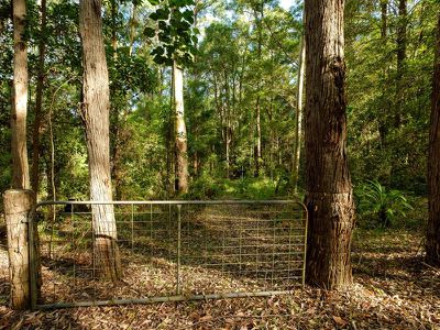 486 Davis Road, Jiggi