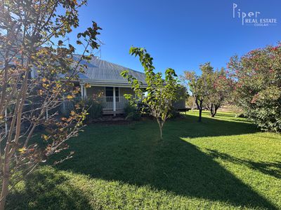 The Old School House / 75 Denham Street, Leadville via, Dunedoo