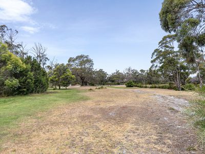 57A Franklin Parade, Lady Barron